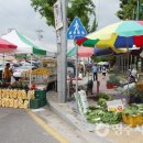 광승경로당 티스토리