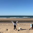 댕댕테이블 | 태안애견동반숙소 별빛이 쏟아지는 한옥리조트, 호텔어라이브 탼 댕댕 1번방 후기