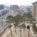 세무법인누리 이미지