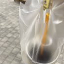 메가커피일산가로수길점 이미지