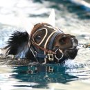 수영통상 이미지