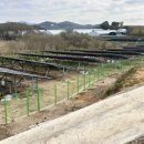 유진태양광발전소 이미지