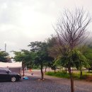 한울오토캠핑장 이미지