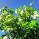 노루마당 이미지