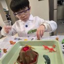 STEAM 과학실험 1-2 | [한 달에 한번 STEAM Day] 초등 STEAM 수업 화산폭발 실험 후기, 아이들이 몰입한 이유