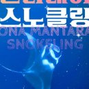 만타