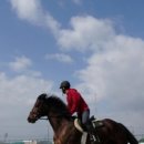 부안아리울승마장 이미지