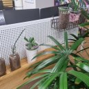 용산플러스공인중개사사무소 이미지