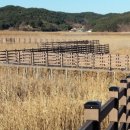 간사지횟집 이미지