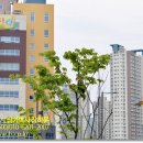 뮤엠영어한솔수학학원 이미지