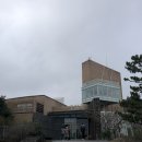 오설록티뮤지엄 티스토리