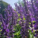 KS국제 행정사사무소 이미지