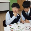 고흥중학교 이미지