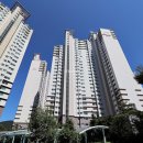 수영-303 이미지