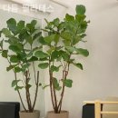 온누리낙원약국 이미지