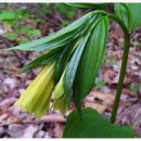 각시민박 이미지