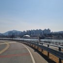 [윌리어] 초기화 극복을 위한 아라낙타 3회전