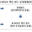 K-바이오·백신 펀드 조성현황 및 주요 내용 이미지