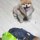 경희빨래방 이미지