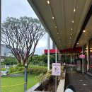 왔다강장어 이미지