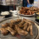 원시쪽갈비 이미지