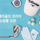 캘러웨이골프 이미지