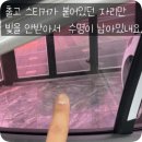 신정2호 태양광발전소 | 썬팅이 보라색으로 변했다면? 양천구 V90 썬팅 재시공 후기