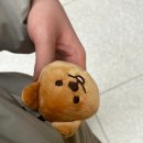 스타벅스 계룡대실DT점 이미지