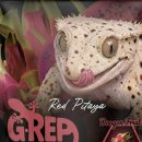 녹십자수의약품(주) 이미지