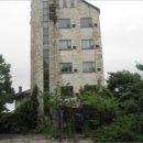 안내보은로 이미지