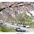 남대천로 이미지