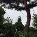 그리고휴 이미지