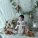 레모니홈 | 아기 성장앨범 홈 스냅 돌 촬영 : 견이그라피