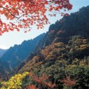 탁장사마을 이미지