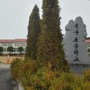 선제이용원