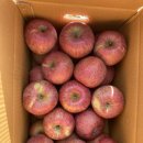 승우농원 이미지