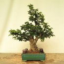 소사중학교 이미지