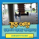 황룡사지 9층목탑 복원 황룡사지 역사문화관 방문 경주 뚜벅이 여행