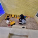 점핑몬스터 고양덕은점 이미지