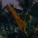 해수랜드 이미지