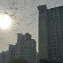 신성롯데공인중개사사무소 이미지