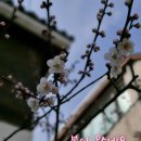 하림공인중개사사무소 이미지