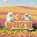 큐사랑 청주모충점 | 놀러오개 애견유치원 애견호텔 모충점 직원들이 반려동물 사랑 넘치는 이유