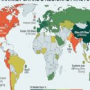 KIM’S AUTO 이미지