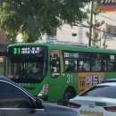 머티네거리 이미지