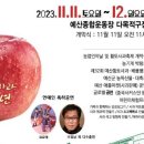 예산황토사과 이미지