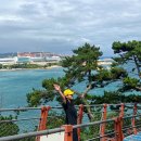 주소 공원 | 울산 대왕암공원 여행 | 출렁다리, 주차 정보, 해녀촌 5만원 한상까지