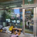 화사랑화원 이미지