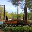 제707회 행복걷기 초안명품길 아카시아꽂길 이미지