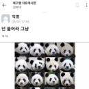 바오버거 이미지
